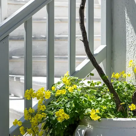 Secret Garden Apartamento *