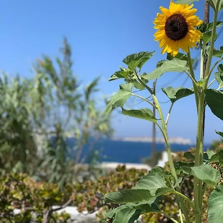 Διαμέρισμα Secret Garden
