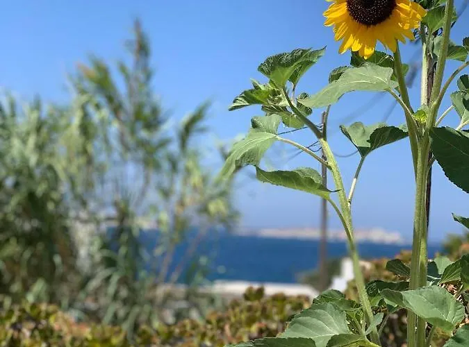 דירה Secret Garden